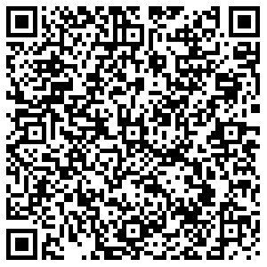 БиФри Казань Павлюхина, 91 контакты qr