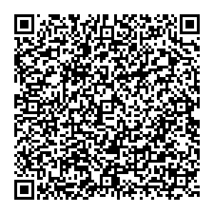 Big Bro Москва ул. Ленинский проспект 41/2 контакты qr