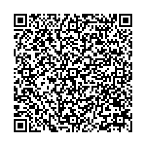 Бином-Авто Ижевск Барышникова,59 контакты qr