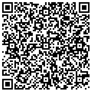 БИР МИР Воронеж ул. Тепличная, 26/2 контакты qr