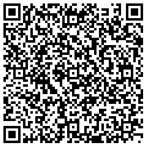 БИР МИР Воронеж пр-т Труда, 14 контакты qr