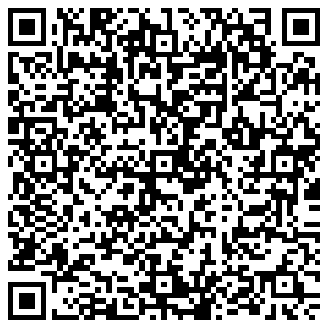 БИР МИР Воронеж ул. Ф. Энегельса, 9 контакты qr