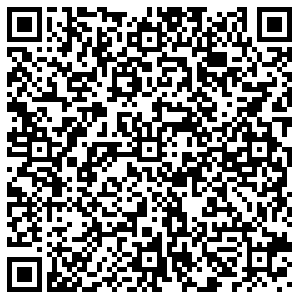 БИР МИР Воронеж ул. Хользунова, 35 контакты qr