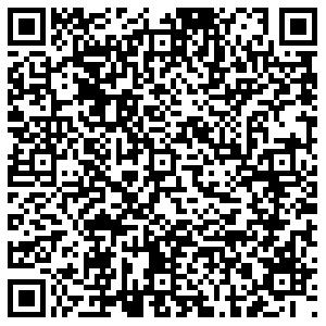 БИР МИР Воронеж ул. Чапаева, 126 контакты qr