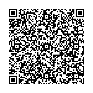 Близнецы Самара ул. Революционная,56 контакты qr