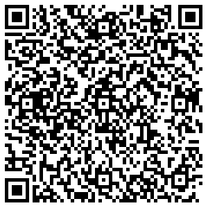 Близнецы Самара ул. Победы, 168 контакты qr