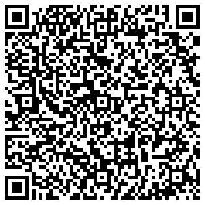 Близнецы Самара ул. Ногина, 4 контакты qr