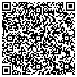 Бристоль Саратов ул. Плякина,1 контакты qr