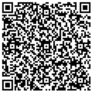 Бристоль Искитим Пушкина, 91 контакты qr