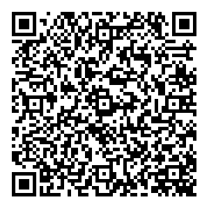 Бристоль Казань Мира, 5 контакты qr