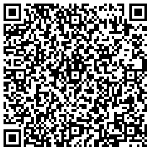 Бристоль Черногорск Линейная, 249 контакты qr