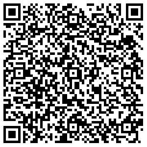 Бристоль Щелково Комсомольская, 3 контакты qr