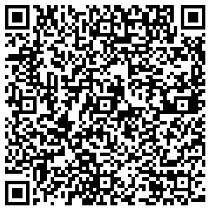 Бристоль Пушкино Горького, 2 контакты qr