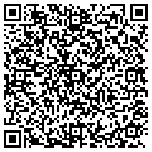 Бристоль Фрязино Горького, 3 контакты qr