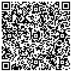 Бристоль Апатиты Нечаева, 4 контакты qr