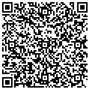 Бристоль Вологда Чернышевского, 84 контакты qr