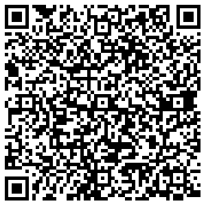 Бристоль Сосногорск Молодёжная, 3 контакты qr