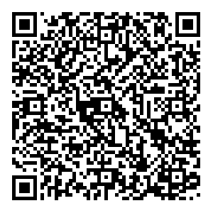 BSshina Москва ул. Озерная, 37А контакты qr