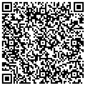 Бургер Кинг Ковров Лопатина, 7а контакты qr