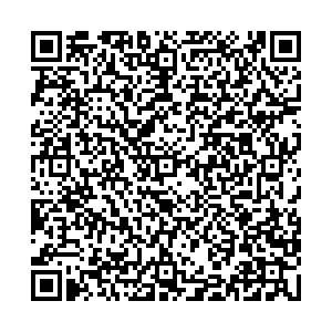 Button blue Архангельск Троицкий проспект, д.3 контакты qr