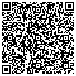 Чемпионика Мытищи пер. Новый, 6 контакты qr