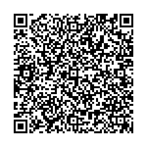 Чемпионика Видное Завидная, 2 контакты qr