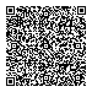 Чери Великий Новгород ул. Северная, 2 контакты qr