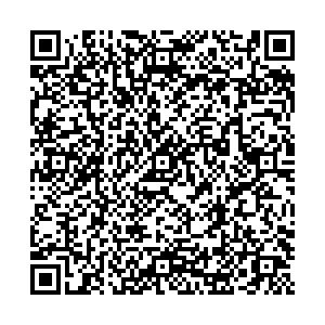 Чери Ростов-на-Дону ул. Троллейбусная, 4 контакты qr