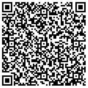 Честер Владимир Дворянская, 10 контакты qr