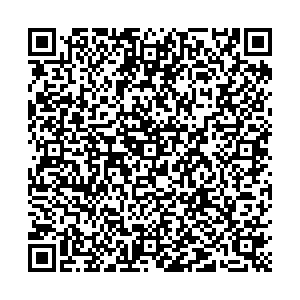 Чио Чио Пенза село Засечное, ул. Светлая, д. 13 контакты qr