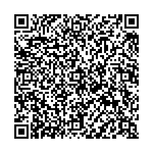 Ситилинк Казань пр-т Ямашева, д. 93 контакты qr