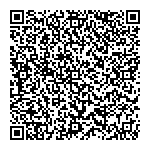 Ситилинк Павлово пл. Базарная, д.1 А контакты qr