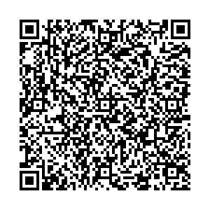 Ситилинк Пенза ул. Антонова, д. 47 контакты qr