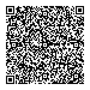 Ситилинк Санкт-Петербург Лиговский пр-т, д.101 контакты qr