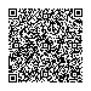 Ситилинк Алексин ул. Тульская, д. 131 контакты qr