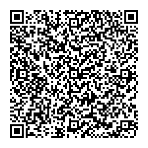 Ситилинк Выкса ул. Ленина, д. 179А контакты qr