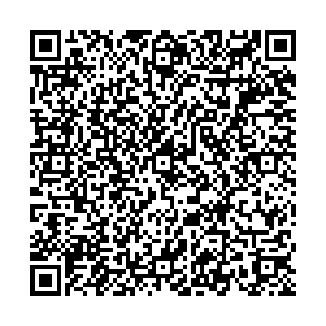 Ситилинк Казань ул. Николая Ершова, д. 80 контакты qr