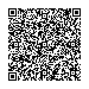 Ситилинк Чебаркуль Ленина, д.32 контакты qr