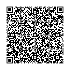 Ситилинк Ростов-на-Дону проспект Ленина, 113 контакты qr