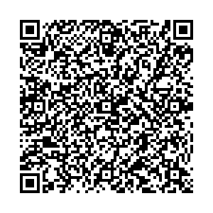 Ситилинк Нижний Новгород Белинского, 85 контакты qr