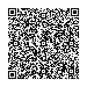 Ситилинк Воронеж Загоровского, 1 контакты qr