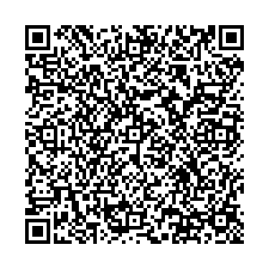 Ситилинк Ногинск ул. Патриаршая, д.4 контакты qr