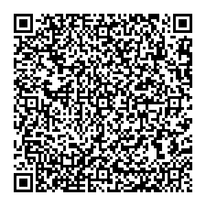 Ситилинк Серпухов Борисовское ш., д.17А контакты qr