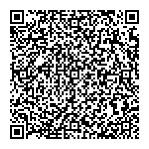 Ситилинк Выкса ул. Красные Зори, д.4 контакты qr