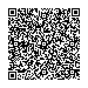 Ситилинк Отрадный ул.Орлова, д.12 контакты qr