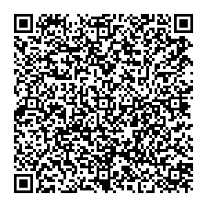 Ситилинк Сосновый Бор ул. Молодежная, д. 6 контакты qr
