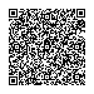 D-Style Липецк ул. Ворошилова, 4 контакты qr