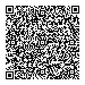 ДАЙМЭКС Тольятти ул. Фрунзе 43 а контакты qr