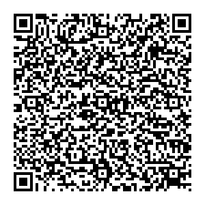 Деловые линии Санкт-Петербург ул. Внуковская, д. 2А контакты qr