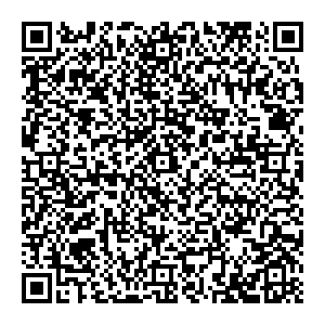 Деловые линии Москва Ногинск, Электростальское шоссе, 1а контакты qr